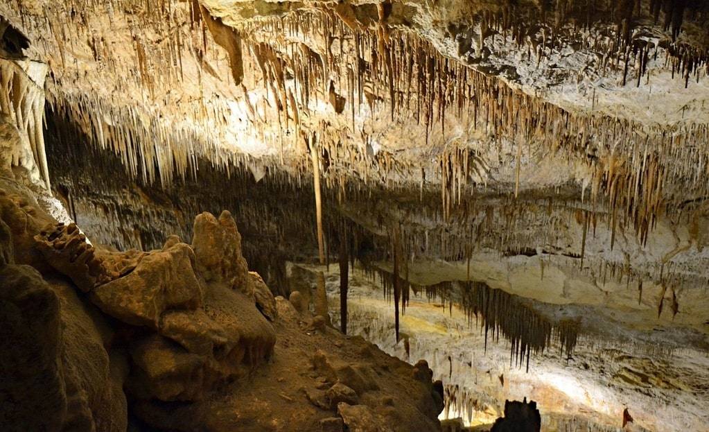 Les trésors souterrains de la grotte Aven Forestière en Ardèche